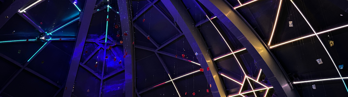 ECHOES OF DISTANT LIGHTS